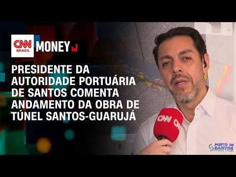 Maior concorrência no Tecon 10 é melhor para o Porto de Santos, diz Pomini