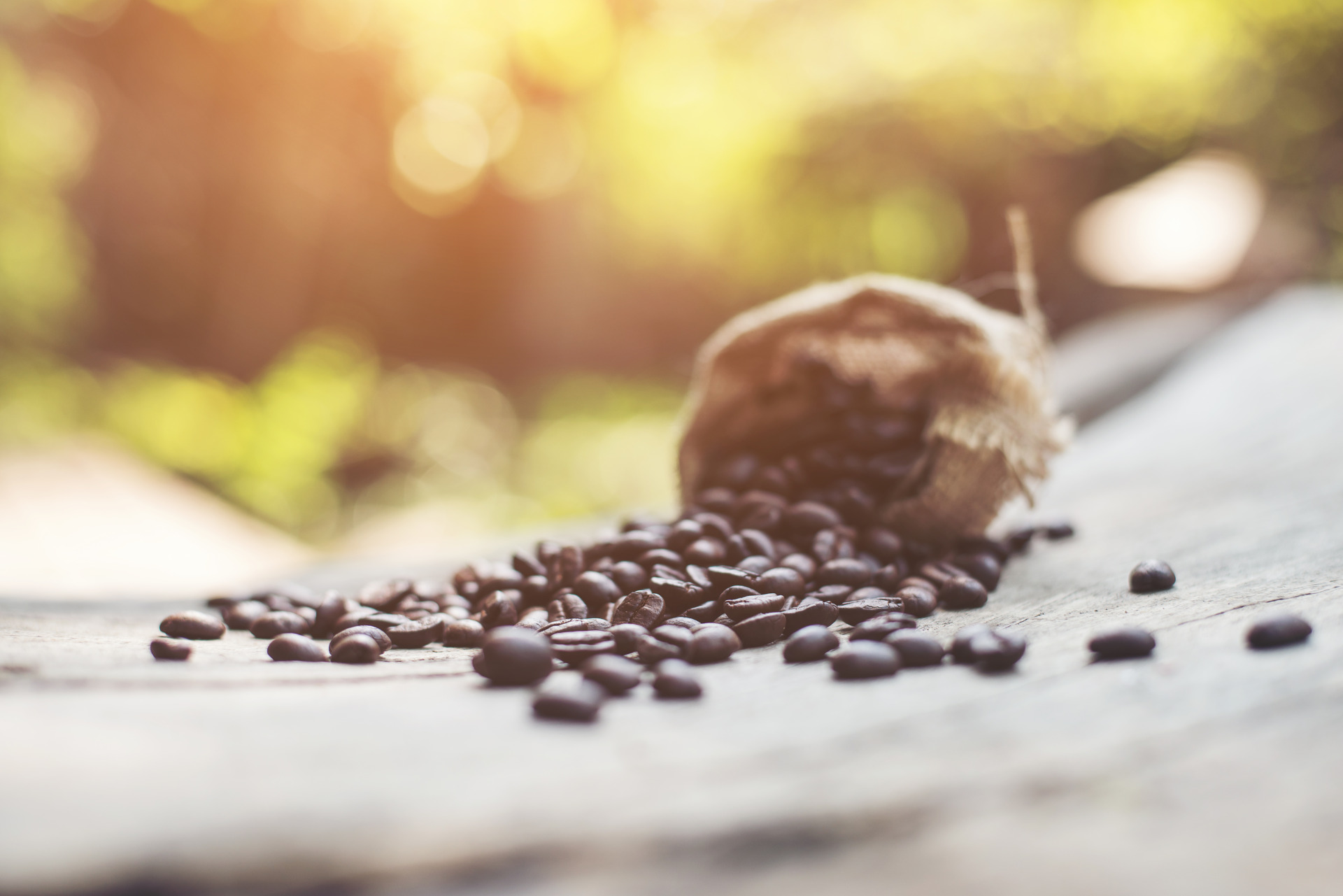 Café: Brasil deixa de receber R$ 1,1 bilhão em julho por problemas portuários