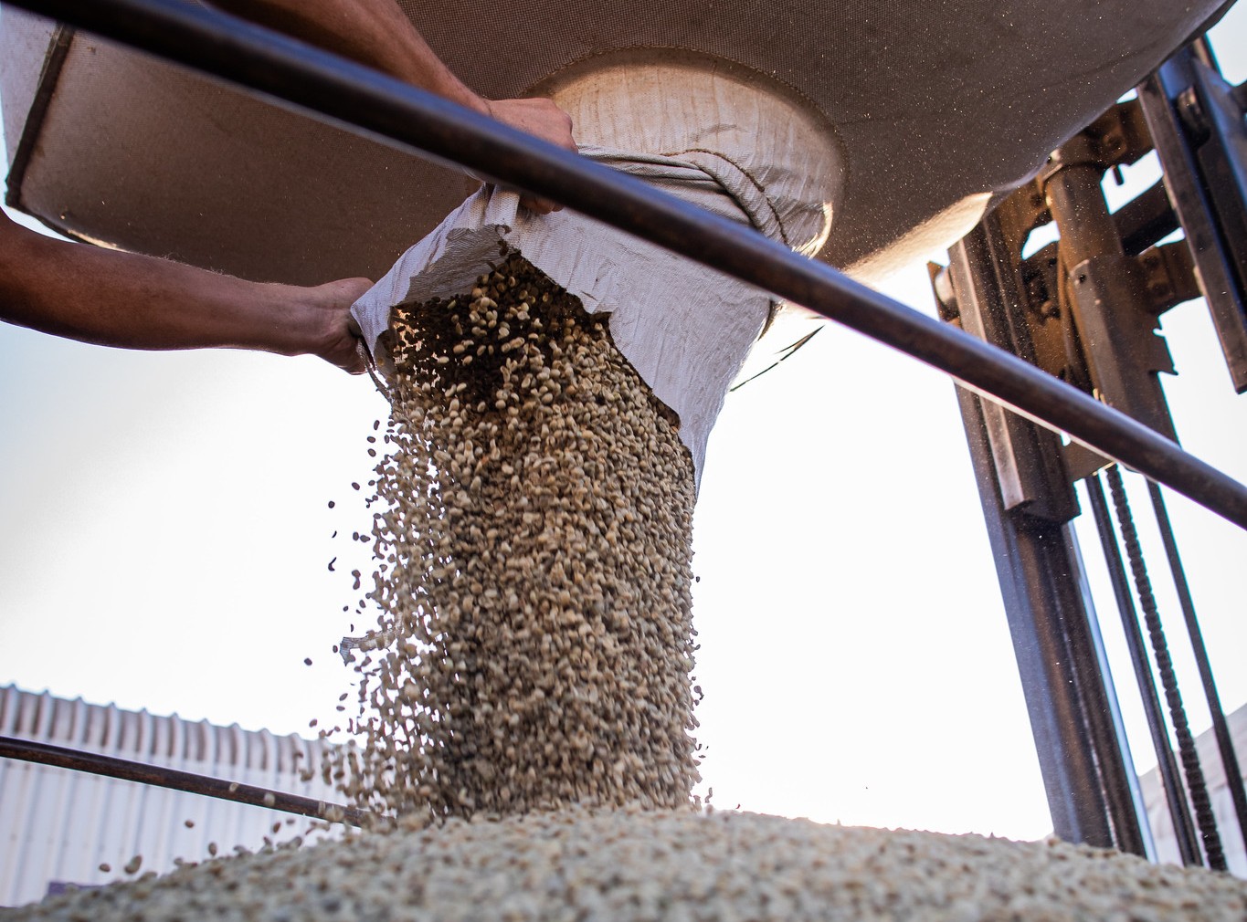 Esgotamento da infraestrutura portuária impede que Brasil embarque 356,3 mil sacas de café em maio