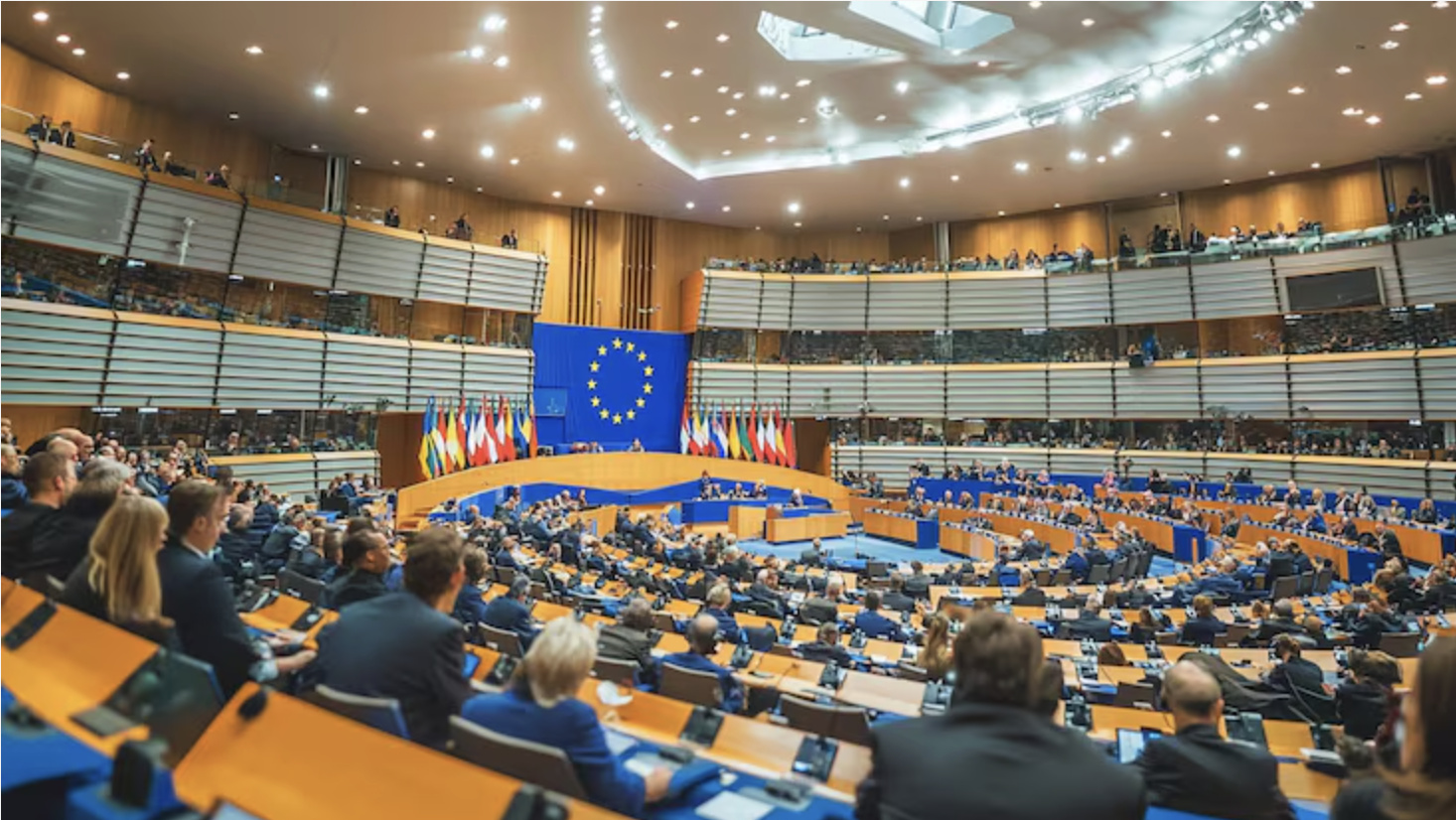 UE pressiona o governo federal por leilão aberto do Tecon Santos 10